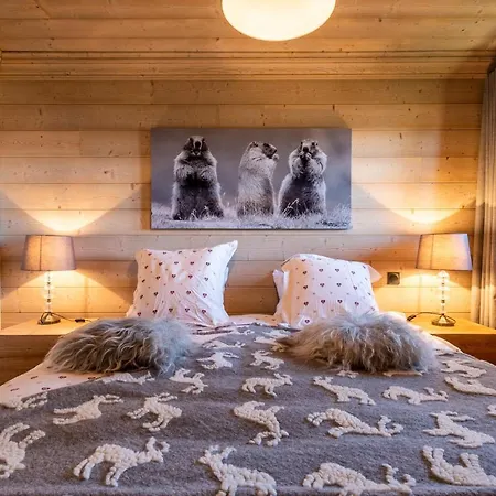 Aux Sports D Hiver Courchevel