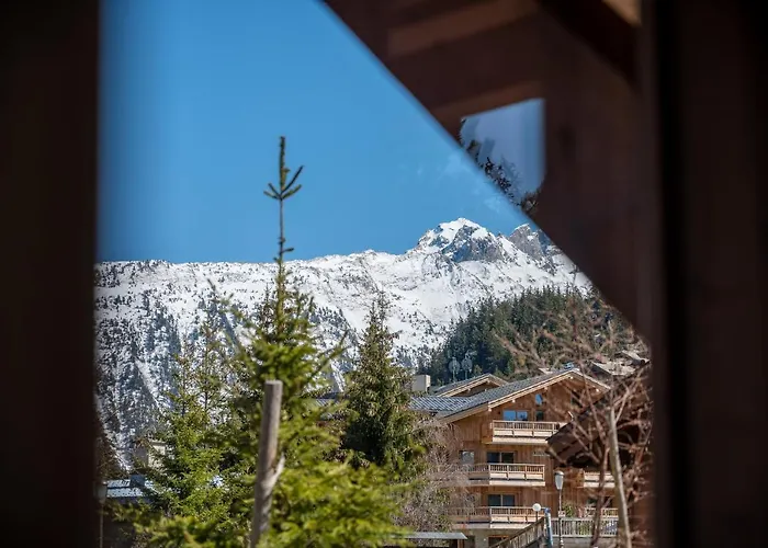 Aux Sports D Hiver Daire Courchevel